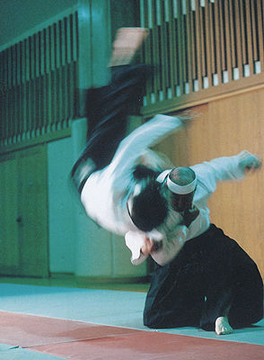 Tenjin Shinyō-ryū Jūjutsu (ushirodori)
